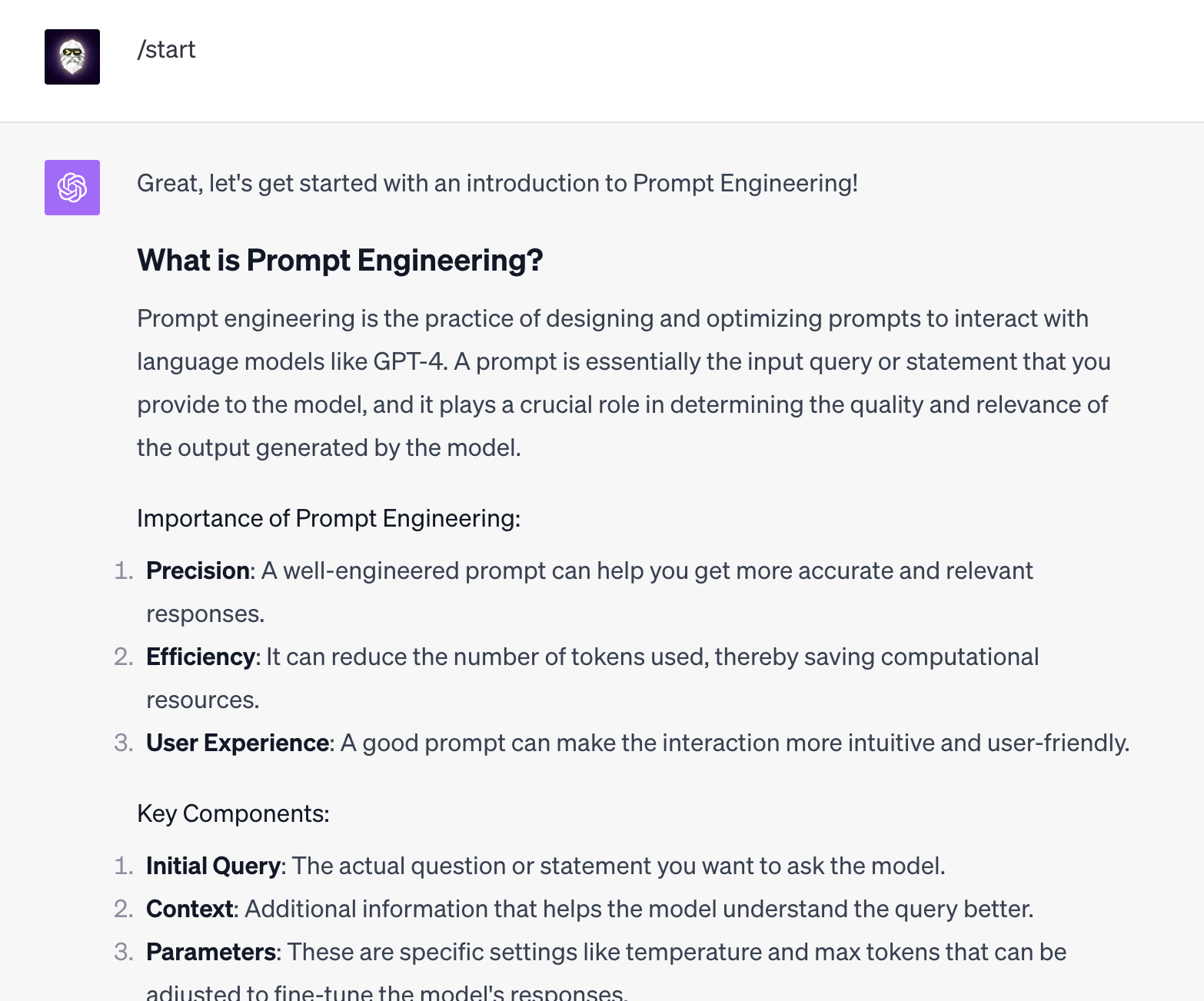After I typed in /start, ChatGPT immediately gave me a lesson on what is Prompt Engineering.